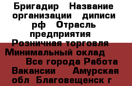 Бригадир › Название организации ­ диписи.рф › Отрасль предприятия ­ Розничная торговля › Минимальный оклад ­ 35 000 - Все города Работа » Вакансии   . Амурская обл.,Благовещенск г.